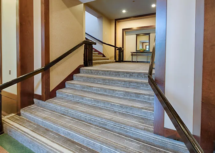 Embassy Suites By Hilton Chicago O'Hare Rosemont